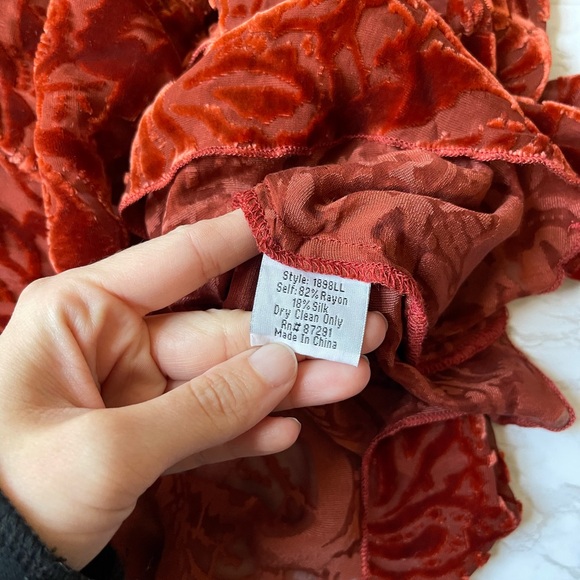 JOHNNY WAS 4 Love and Liberty Rust Velvet Burnout Sheer Silk Top Paisley Boho XS - Picture 5 of 6